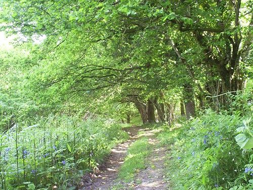 Lowertown Farm B&B Widecombe in the Moor Extérieur photo